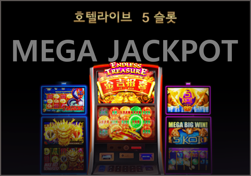 엠카지노 book of ra 슬롯 추가